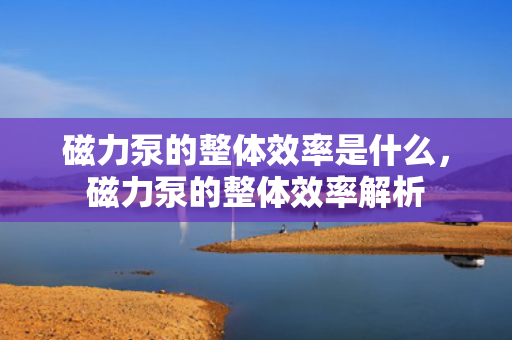 磁力泵的整体效率是什么，磁力泵的整体效率解析