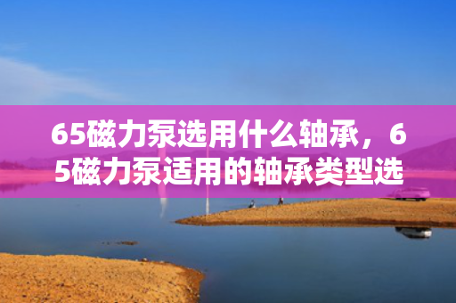 65磁力泵选用什么轴承，65磁力泵适用的轴承类型选择