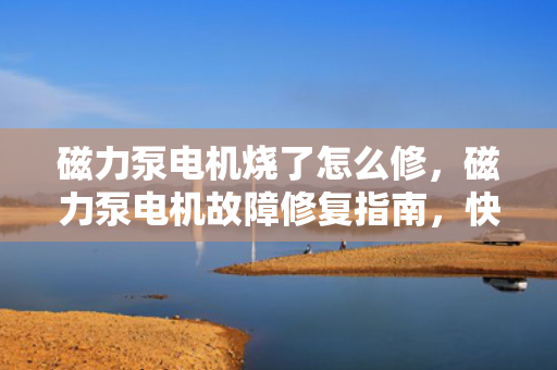 磁力泵电机烧了怎么修，磁力泵电机故障修复指南，快速解决烧毁问题