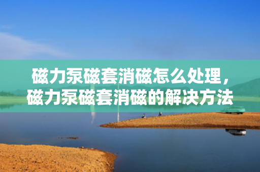 磁力泵磁套消磁怎么处理，磁力泵磁套消磁的解决方法