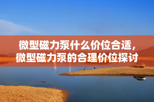 微型磁力泵什么价位合适，微型磁力泵的合理价位探讨