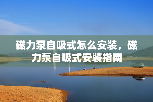磁力泵自吸式怎么安装，磁力泵自吸式安装指南