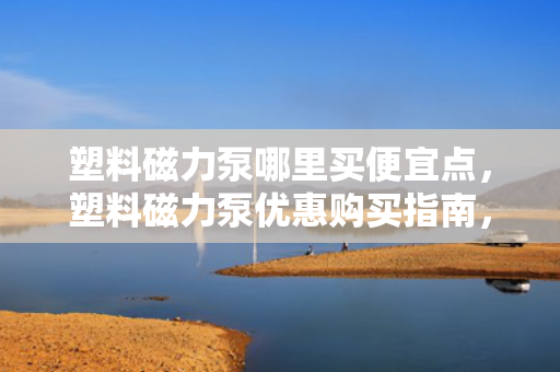 塑料磁力泵哪里买便宜点，塑料磁力泵优惠购买指南，找到最便宜的购买渠道