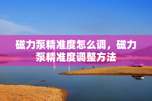 磁力泵精准度怎么调，磁力泵精准度调整方法