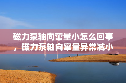 磁力泵轴向窜量小怎么回事，磁力泵轴向窜量异常减小的原因及解决方法