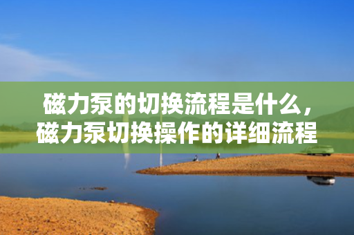 磁力泵的切换流程是什么，磁力泵切换操作的详细流程
