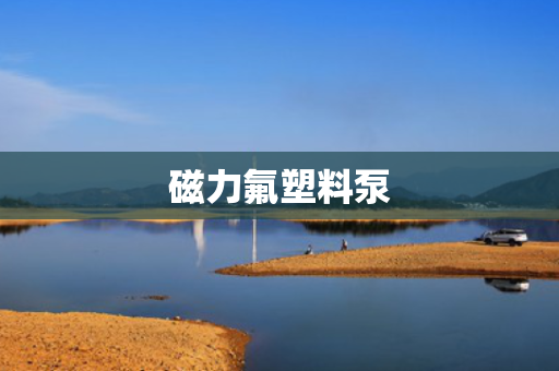 磁力氟塑料泵