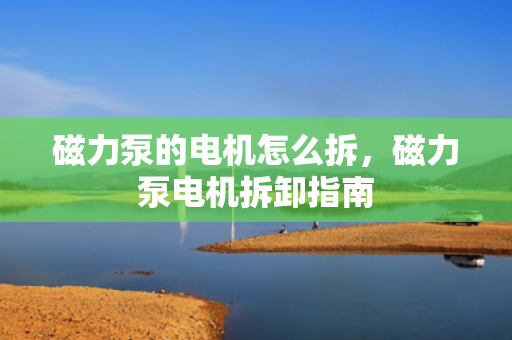 磁力泵的电机怎么拆，磁力泵电机拆卸指南