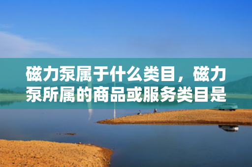 磁力泵属于什么类目，磁力泵所属的商品或服务类目是什么？