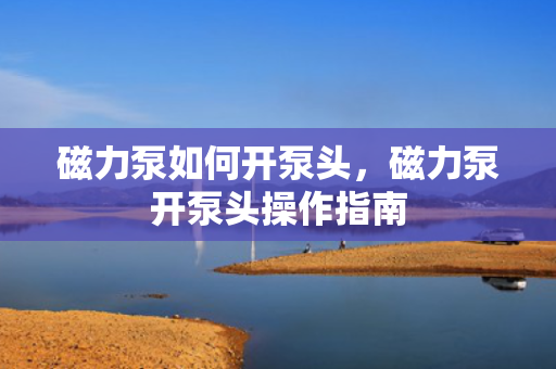 磁力泵如何开泵头，磁力泵开泵头操作指南