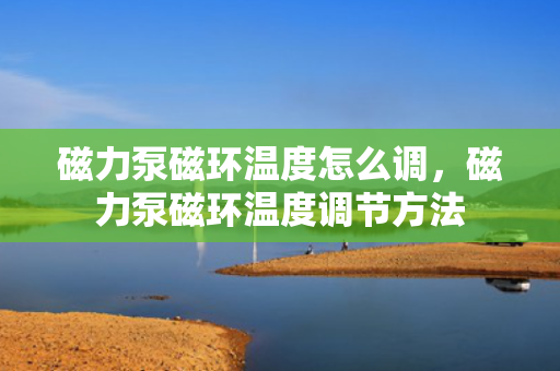 磁力泵磁环温度怎么调，磁力泵磁环温度调节方法