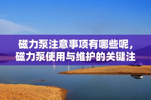 磁力泵注意事项有哪些呢，磁力泵使用与维护的关键注意事项