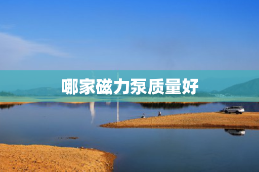 哪家磁力泵质量好