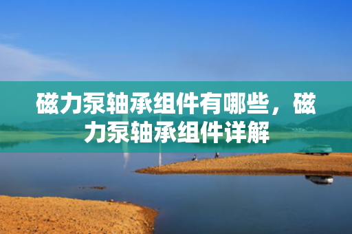 磁力泵轴承组件有哪些，磁力泵轴承组件详解