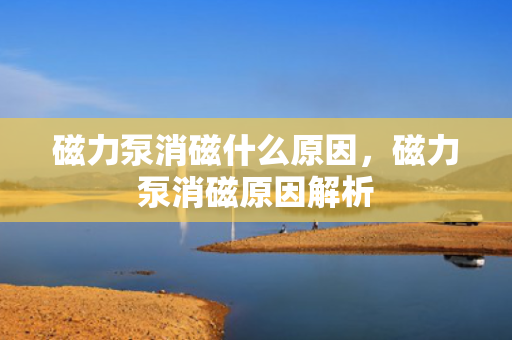 磁力泵消磁什么原因，磁力泵消磁原因解析