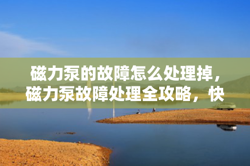磁力泵的故障怎么处理掉，磁力泵故障处理全攻略，快速解决问题，恢复设备正常运行