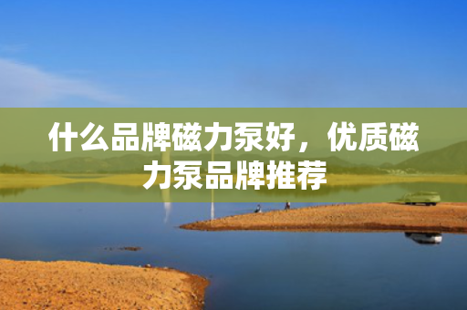 什么品牌磁力泵好，优质磁力泵品牌推荐