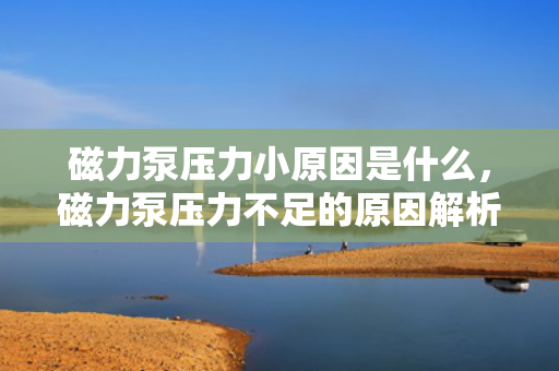 磁力泵压力小原因是什么，磁力泵压力不足的原因解析