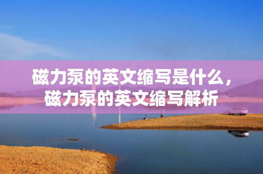 磁力泵的英文缩写是什么，磁力泵的英文缩写解析
