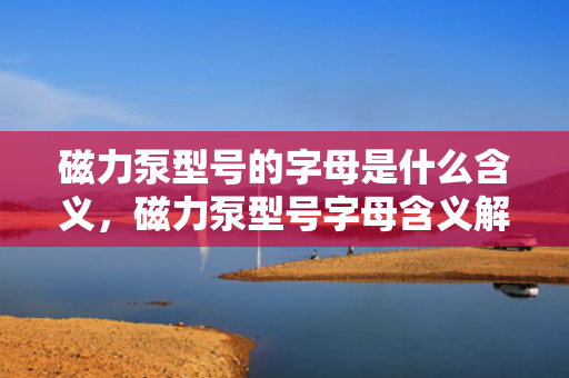 磁力泵型号的字母是什么含义，磁力泵型号字母含义解析