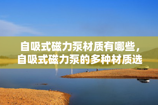 自吸式磁力泵材质有哪些，自吸式磁力泵的多种材质选择