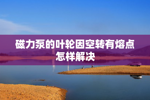 磁力泵的叶轮因空转有熔点怎样解决