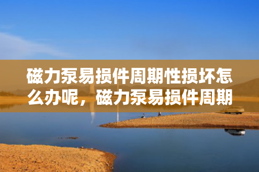 磁力泵易损件周期性损坏怎么办呢，磁力泵易损件周期性损坏解决方案