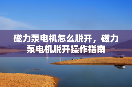 磁力泵电机怎么脱开，磁力泵电机脱开操作指南