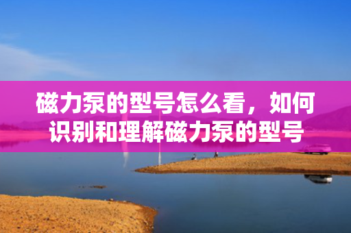 磁力泵的型号怎么看，如何识别和理解磁力泵的型号