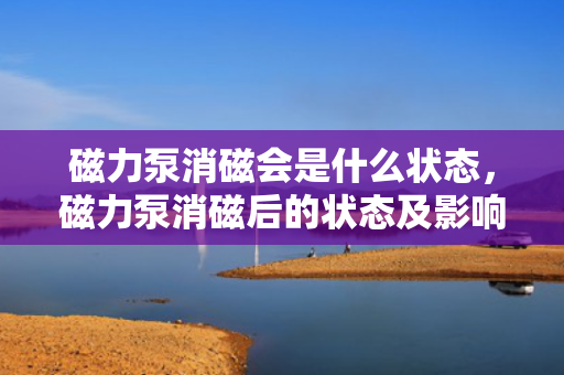 磁力泵消磁会是什么状态，磁力泵消磁后的状态及影响解析