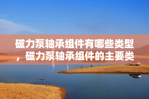 磁力泵轴承组件有哪些类型，磁力泵轴承组件的主要类型概述