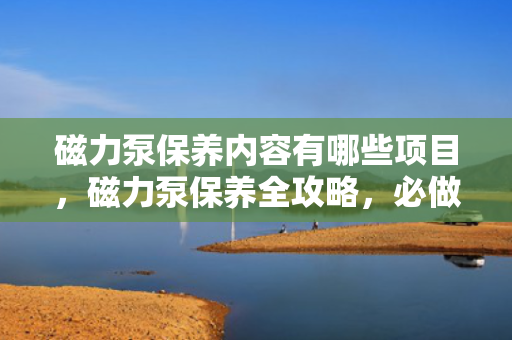 磁力泵保养内容有哪些项目，磁力泵保养全攻略，必做的保养项目及步骤