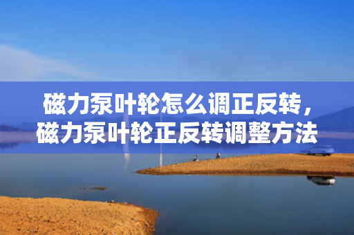 磁力泵叶轮怎么调正反转，磁力泵叶轮正反转调整方法
