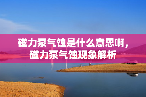 磁力泵气蚀是什么意思啊，磁力泵气蚀现象解析