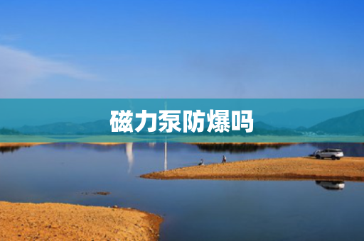 磁力泵防爆吗