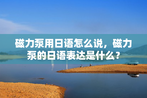 磁力泵用日语怎么说，磁力泵的日语表达是什么？