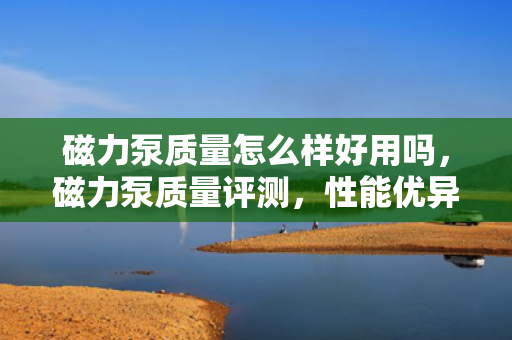 磁力泵质量怎么样好用吗，磁力泵质量评测，性能优异，好用且可靠