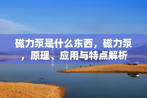 磁力泵是什么东西，磁力泵，原理、应用与特点解析