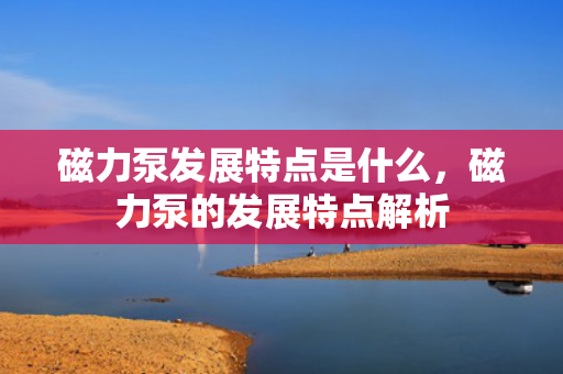 磁力泵发展特点是什么，磁力泵的发展特点解析