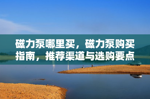 磁力泵哪里买，磁力泵购买指南，推荐渠道与选购要点