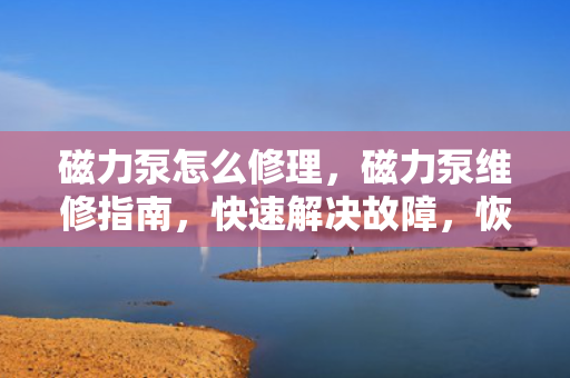 磁力泵怎么修理，磁力泵维修指南，快速解决故障，恢复设备正常运行