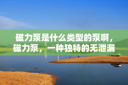 磁力泵是什么类型的泵啊，磁力泵，一种独特的无泄漏泵类型解析