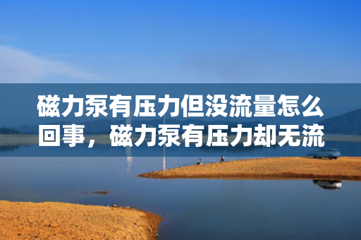 磁力泵有压力但没流量怎么回事，磁力泵有压力却无流量，可能的原因与解决方案