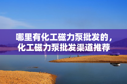 哪里有化工磁力泵批发的，化工磁力泵批发渠道推荐