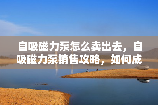 自吸磁力泵怎么卖出去，自吸磁力泵销售攻略，如何成功将产品推向市场