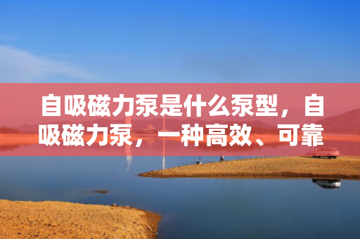 自吸磁力泵是什么泵型，自吸磁力泵，一种高效、可靠的泵型介绍