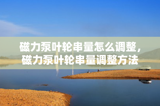 磁力泵叶轮串量怎么调整，磁力泵叶轮串量调整方法