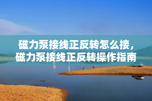 磁力泵接线正反转怎么接，磁力泵接线正反转操作指南