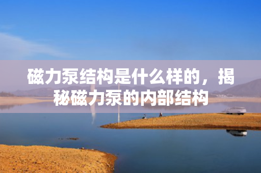 磁力泵结构是什么样的，揭秘磁力泵的内部结构