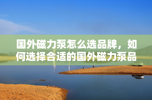 国外磁力泵怎么选品牌，如何选择合适的国外磁力泵品牌